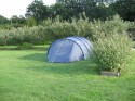 CAMPING NEXT TO THE ORCHARDS (click to enlarge)