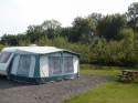 SOME PITCHES HAVE BEEN CUT BACK INTO THE ORCHARD (click to enlarge)